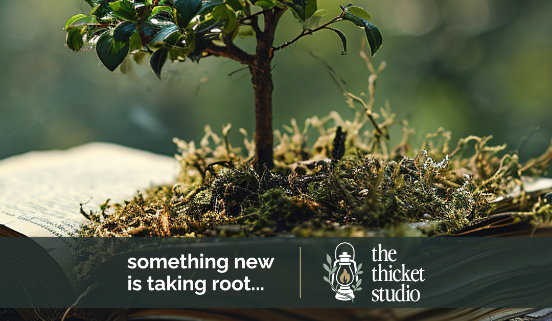 Meet The Thicket Studio – A Strategy First Marketing Consultancy for Purpose Led Brands
