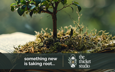 Meet The Thicket Studio – A Strategy First Marketing Consultancy for Purpose Led Brands