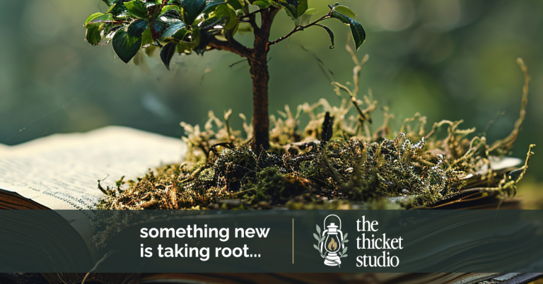 Meet The Thicket Studio - Strategy First Marketing for Purpose Led Brands | Wiser360